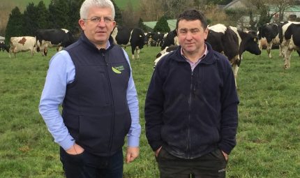 Dan & Bernie Crowley